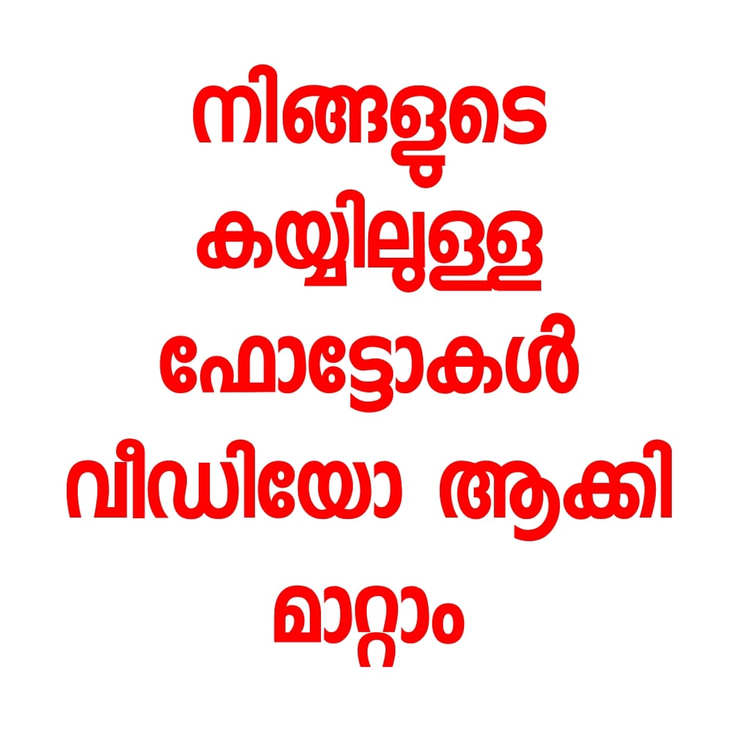 Pixelcut AI Photo Editor App SEOKOK